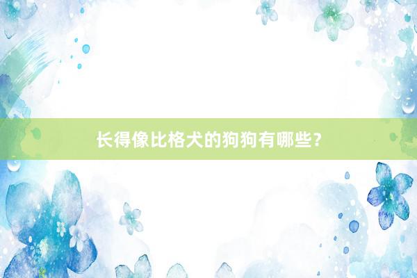 长得像比格犬的狗狗有哪些？